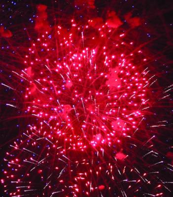 MIRANDA JAMISON | Staff Fireworks light up the sky in celebration.