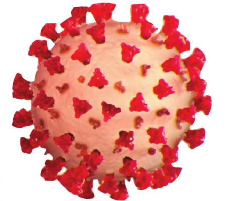 Alt Text for Image