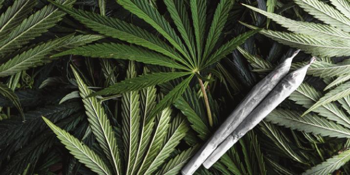 DEMAND strong for medical marijuana.