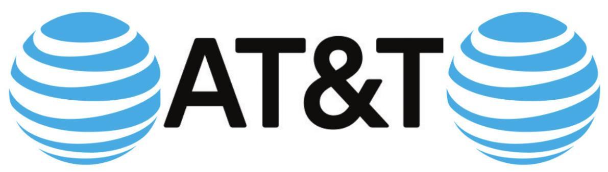 Alt Text for Image