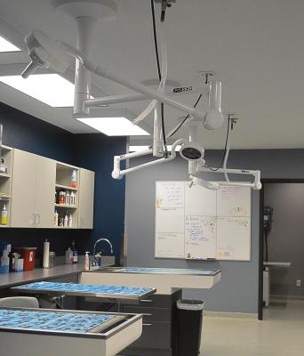 A NEW EXAM room is an Excelsior Springs Animal Clinic feature that provides more space for animals and staff.