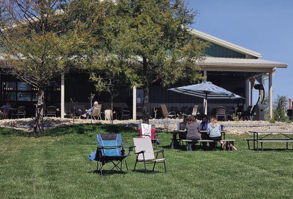 SHAMROCK HILLS VINEYARD and Winery offers a serene escape in Excelsior Springs. It showcases award-winning wines, picturesque vineyard views and a warm, inviting ambiance for wine enthusiasts and families. MIRANDA JAMISON | Staff