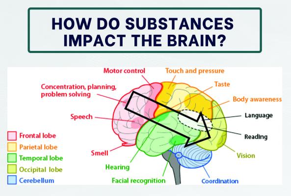 SAFE discusses brain science of prevention