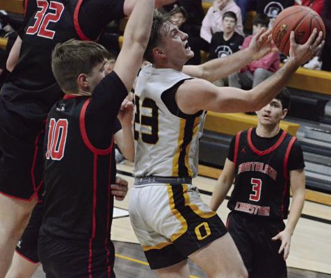 Cats go 3-1 in latest homestand
