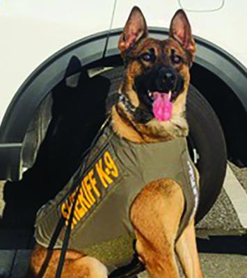 K9 Argos sporting his new vest donated by Vested Interest in K9s Inc.