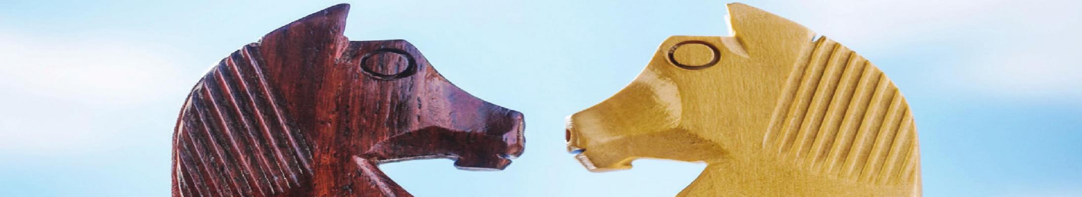 Alt Text for Image