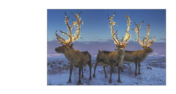 Santa’s reindeer approved for takeoff