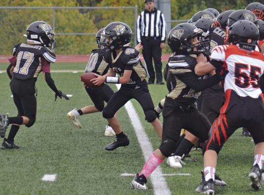 SUPPORTED BY a wall of linemen blocking for him, quarterback Wade Circo looks to hand off to running back Brody Killian as the Excelsior Springs Football Association’s fifth-grade team looks to gain yardage Oct. 14 at Tiger Stadium. DUSTIN DANNER | Staff