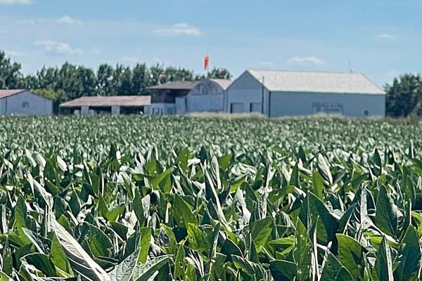CITY OFFICIALS continue leasing acreage for farming, adopting new 38-month agreements with Big Paw Farms for 26 acres around the airport and with David Rhodus for 15 acres near Hillcrest Cemetery. BRIAN RICE | Staff