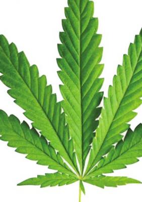 Missouri could become 20th state to approve sale of marijuana for recreational use