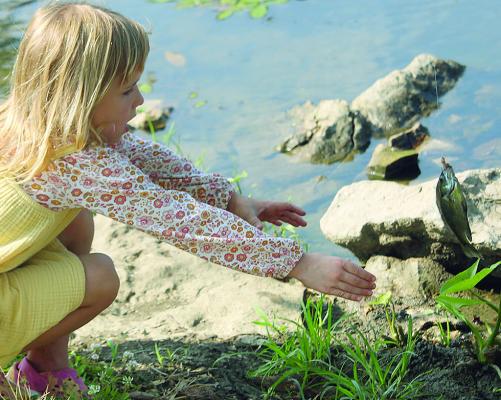 AFTER REELING IN her freshly caught fish, Hosanna Mize reaches in for a closer look while at the Excelsior Springs Parks and Recreation youth fishing event. MIRANDA JAMISON | Staff