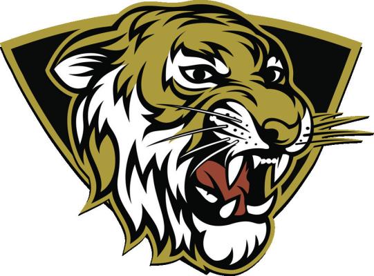 Excelsior Springs boys hoopsters fall in district semis