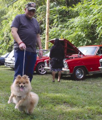 WILLIAM CATLOW and his dog Kodi look at all the classic cars entered in the competition. MIRANDA JAMISON | Staff