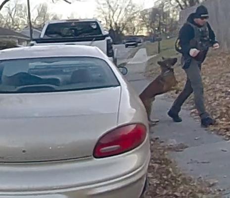 CLAY COUNTY Sheriff’s Office K9 Argos outsmarts the suspect. CLAY COUNTY SHERIFF’S OFFICE | Submitted