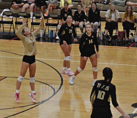 EXCELSIOR SPRINGS senior libero Carly Dolt (left) attempts a back-row attack as her teammates and coaches watch during the Tigers’ Sept. 26 varsity match with visiting Raytown South. DUSTIN DANNER | Staff