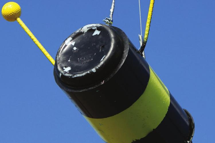 Alt Text for Image