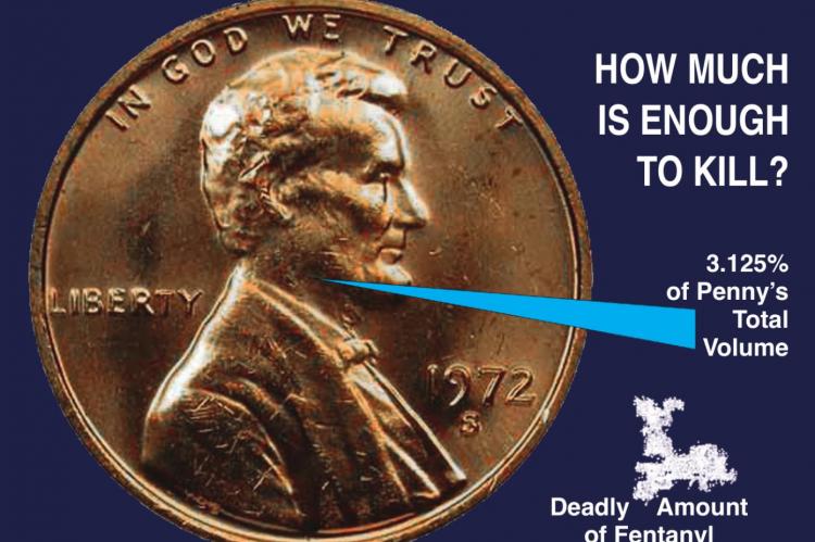 THE FRACTION RAY coming from the center of the penny equals 3.125% of the penny’s total size. The white powder shape represents the amount of fentanyl needed to kill a person. The amount of fentanyl that could kill a person is about 3% of the size of a penny. J.C. VENTIMIGLIA | Staff graphic