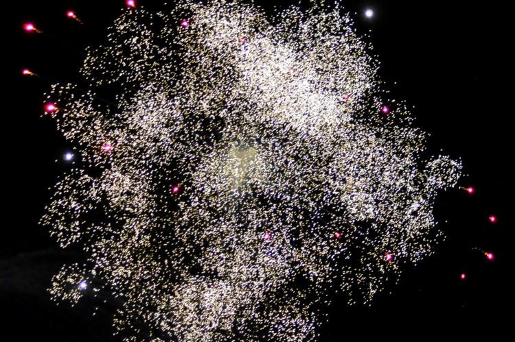 A mini-galaxy
