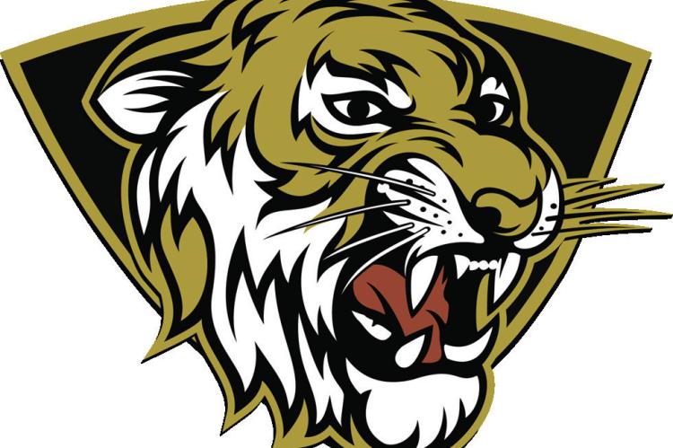 Excelsior Springs boys hoopsters fall in district semis