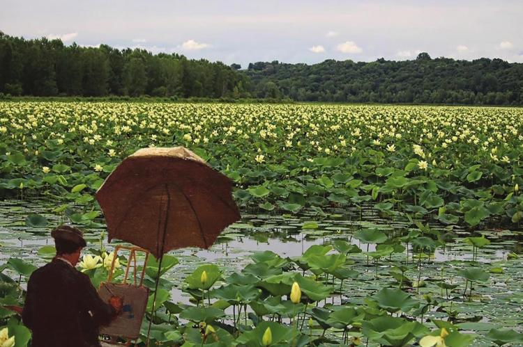 COOLEY LAKE serves as inspiration for area painters and photographers.