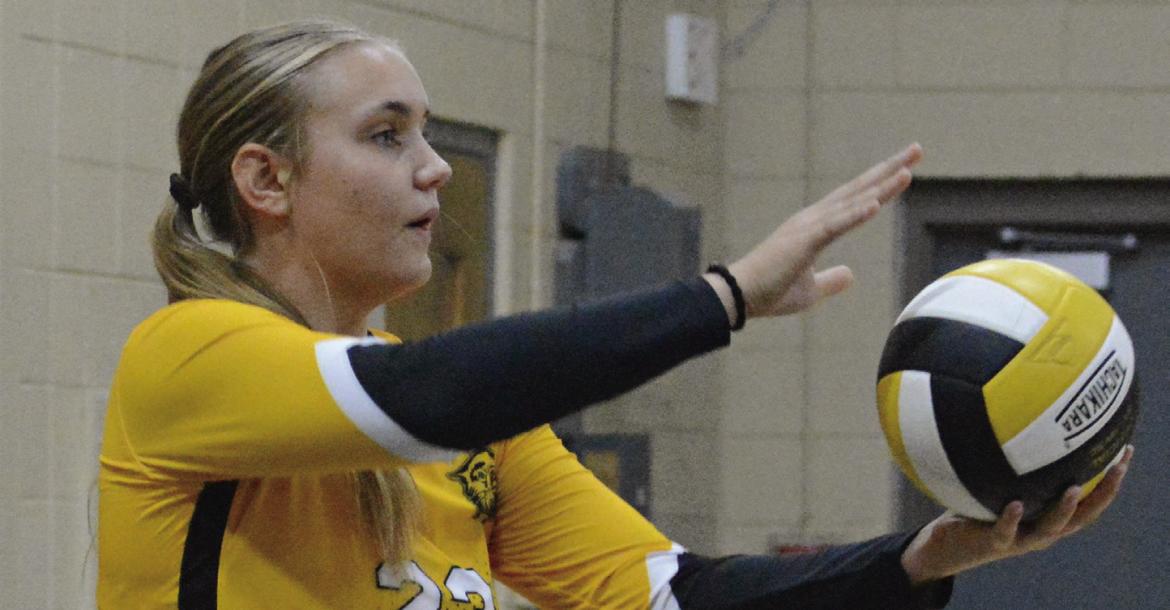 ’Cats gain confidence in season-opening defeat