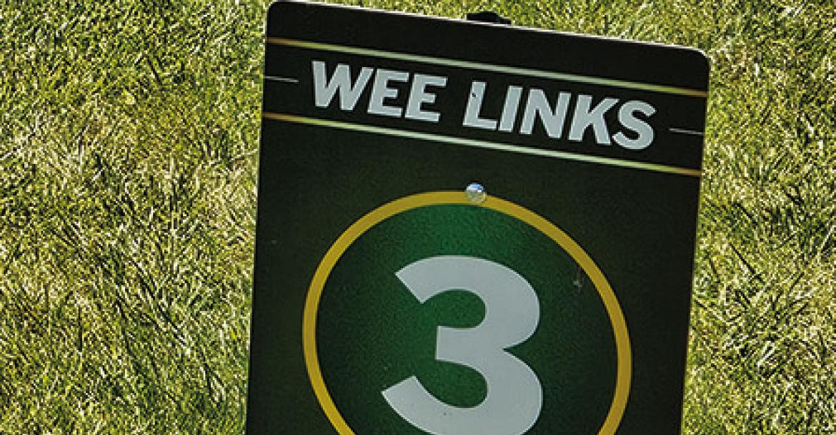 Weelinks creates pathway for young golfers