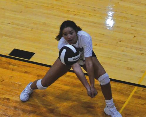 JUNIOR ALANI PRICE is among the returning players for Excelsior Springs in varsity volleyball.