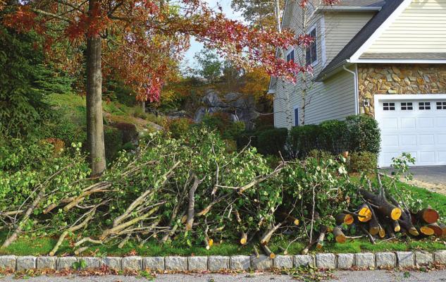 AFTER CUTTING down an old tree, or hacking shrubs from the yard, the final step in yard beautification is to remove the debris. The Public Works Department can help with that. The yard waste dropoff site, 1300 S. Mariette St., is open every Saturday.