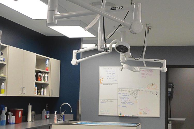 A NEW EXAM room is an Excelsior Springs Animal Clinic feature that provides more space for animals and staff.