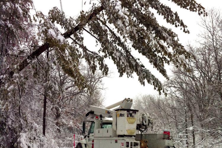 THE WEIGHT OF ICE and snow during winter storms can cause limbs or whole trees to fall near power lines, resulting in widespread power outages. PCEC has more than 3,000 miles of energized lines servicing more than 25,000 active customers in Missouri, including those in Clay and Ray counties. PLATTE-CLAY ELECTRIC COOPERATIVE | Submitted