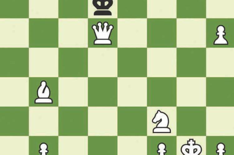 A FEW online victories against a computer, like the one pictured here, have a certain sports editor considering actively pursuing chess as a mind sport. DOWNLOADED FROM CHESS.COM