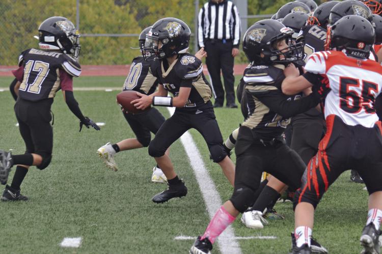 SUPPORTED BY a wall of linemen blocking for him, quarterback Wade Circo looks to hand off to running back Brody Killian as the Excelsior Springs Football Association’s fifth-grade team looks to gain yardage Oct. 14 at Tiger Stadium. DUSTIN DANNER | Staff
