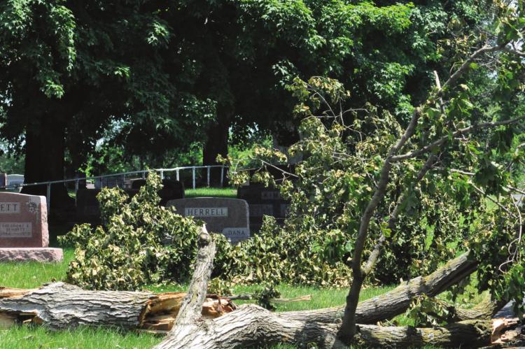 THE JUNE 11 storm blows down trees around town. As of Monday afternoon, fallen limbs remain on the ground in the Masonic section of Hillcrest Cemetery. SHAWN RONEY | Staff