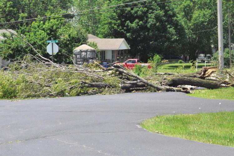 THE JUNE 11 storm blows down trees around town. As of Monday afternoon, tree debris still blocks one of the entrance/exit roads to the Masonic section of Hillcrest Cemetery.