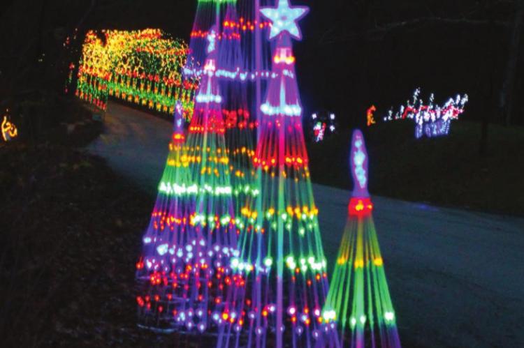 ALONG WITH WHIMSICAL items are some that are traditional, including these multi-colored trees.
