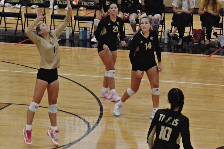 EXCELSIOR SPRINGS senior libero Carly Dolt (left) attempts a back-row attack as her teammates and coaches watch during the Tigers’ Sept. 26 varsity match with visiting Raytown South. DUSTIN DANNER | Staff